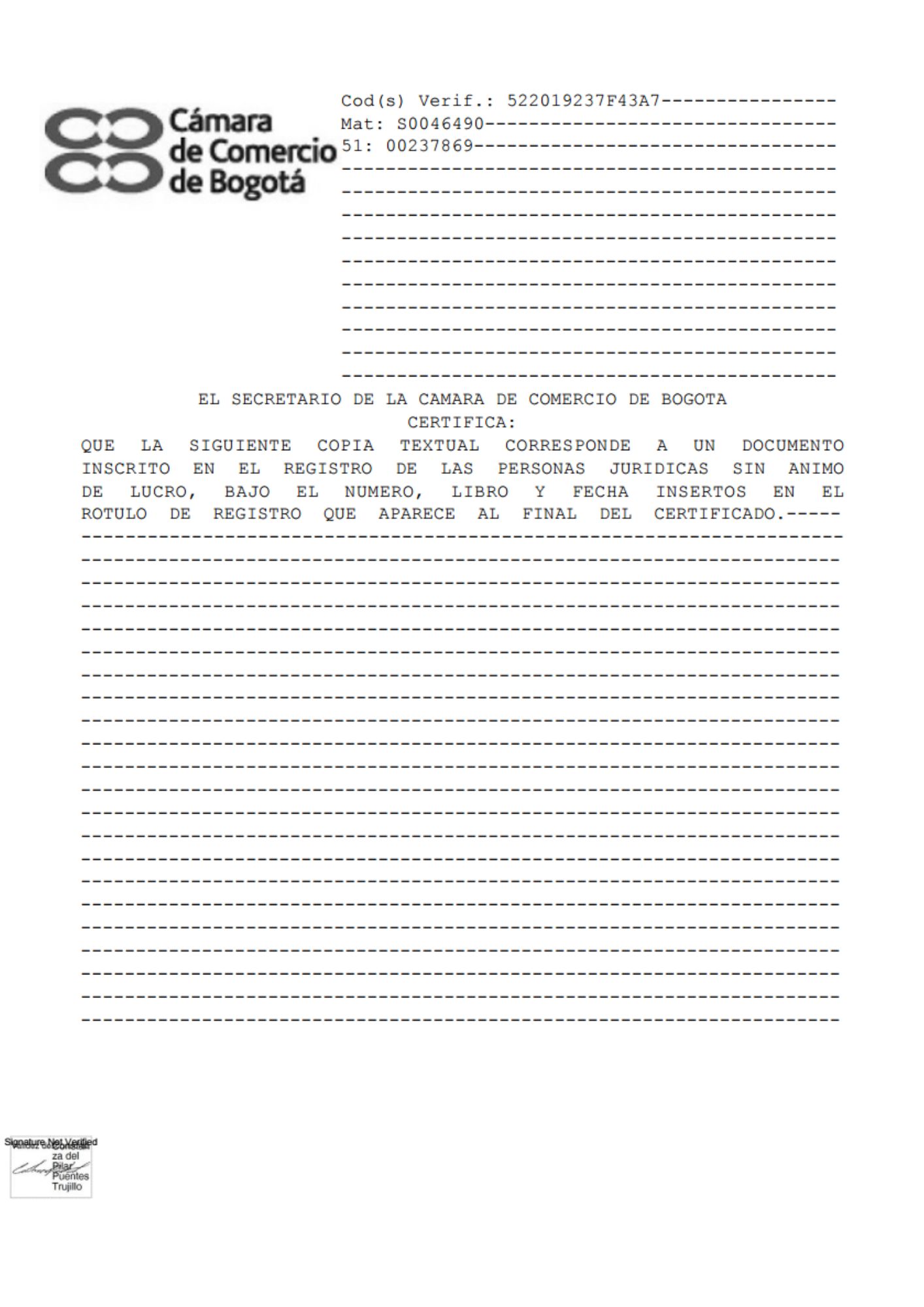 Informe anual