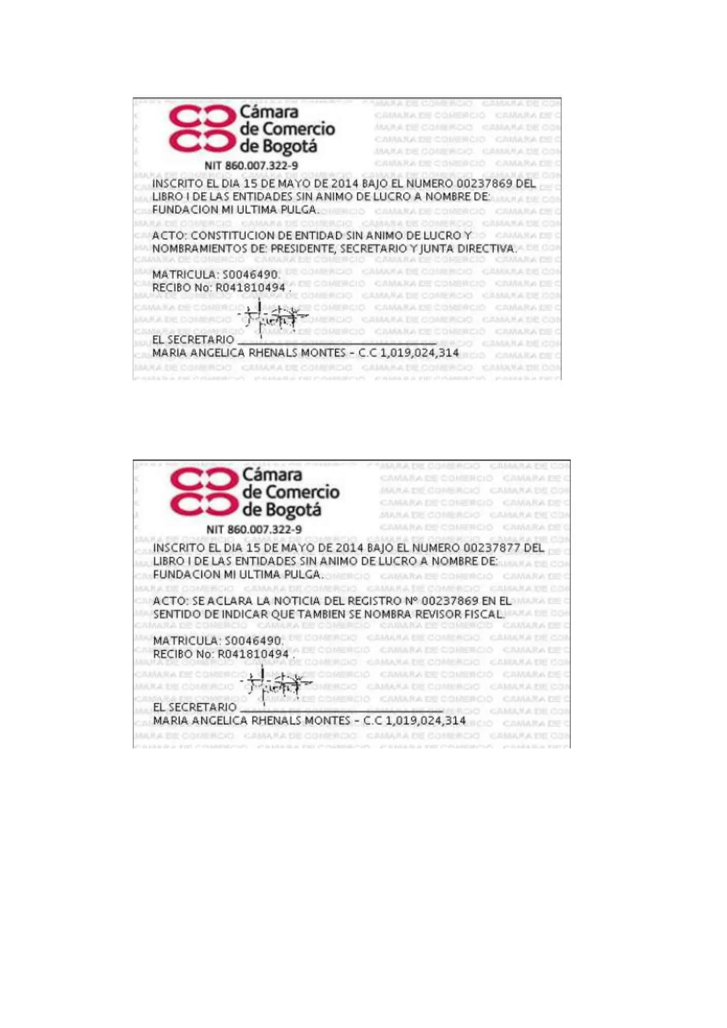 Acta de Constitución - Página 29